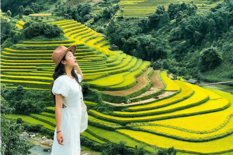 TOUR ĐỒI MÂM XÔI – RỪNG TRÚC – ĐỒI MÓNG NGỰA - MÙ CANG CHẢI 2N1Đ