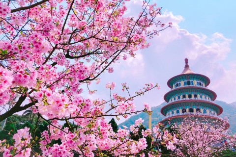 ĐÀI LOAN: HÀ NỘI - CAO HÙNG - ĐÀI TRUNG - ĐÀI BẮC – HÀ NỘI