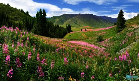 Hà Nội - Urumqi - Vịnh Ngũ Sắc - Kanas - Karamay 