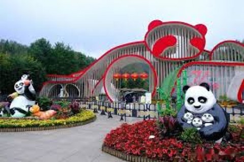 THÀNH ĐÔ – CÔNG VIÊN GẤU TRÚC - CỬU TRẠI CÂU – LẠC SƠN ĐẠI PHẬT