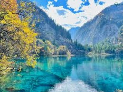 CỬU TRẠI CÂU - TRÙNG KHÁNH