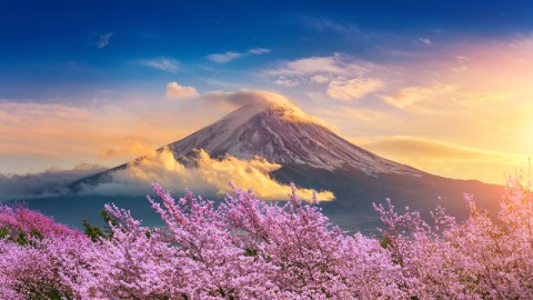 HÀ NỘI – OSAKA – KYOTO –  PHÚ SĨ - TOKYO 