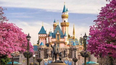THƯỢNG HẢI – FREEDAY/DISNEYLAND – Ô TRẤN – HÀNG CHÂU – ĐẦM THANH SƠN 
