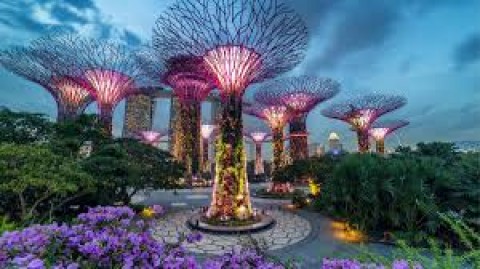 HÀ NỘI - SINGAPORE - MALAYSIA -  HÀ NỘI